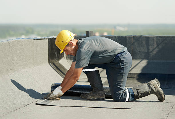 Best Residential Insulation in Fort Wright, KY